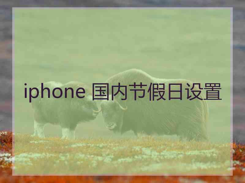 iphone 国内节假日设置