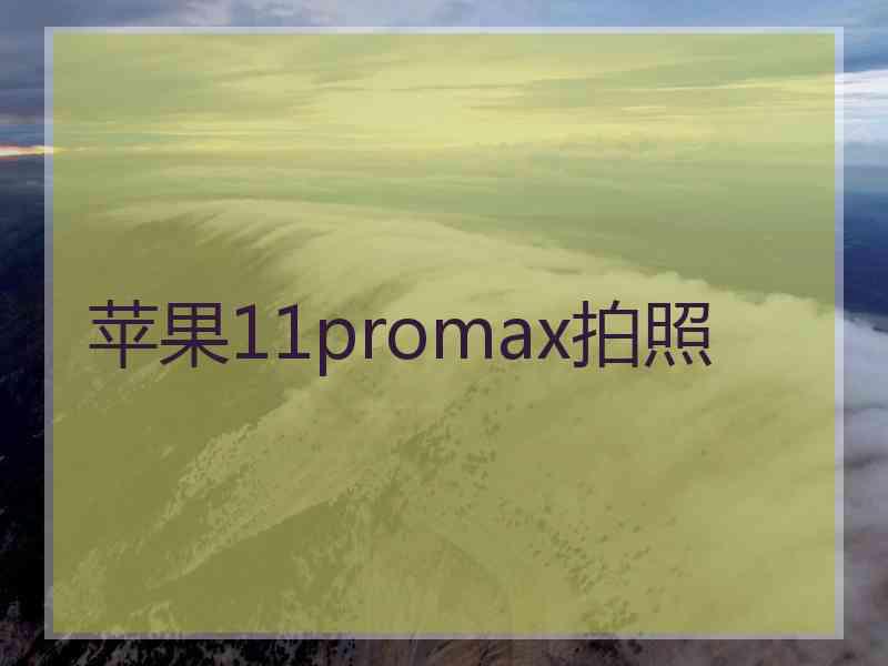 苹果11promax拍照