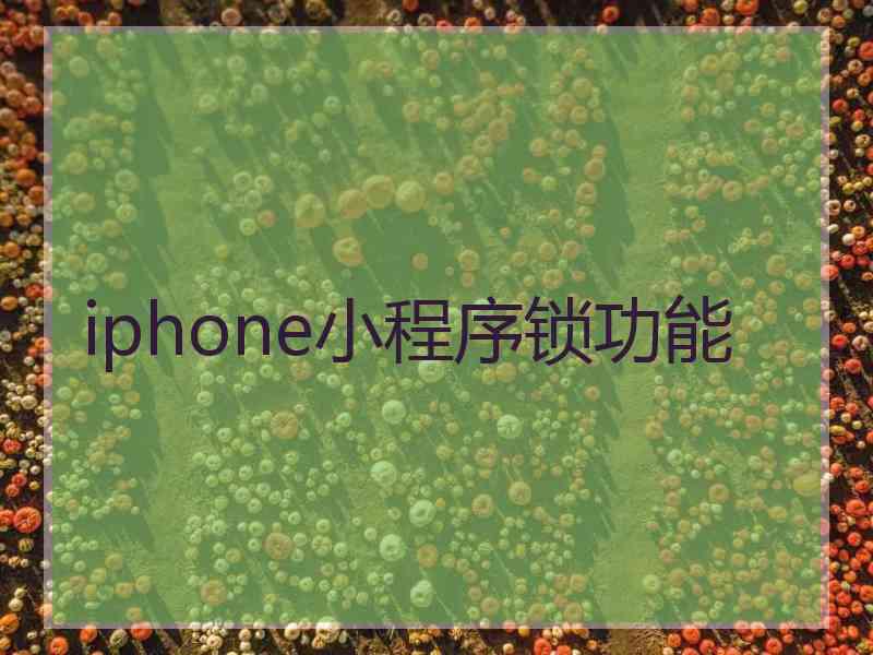 iphone小程序锁功能