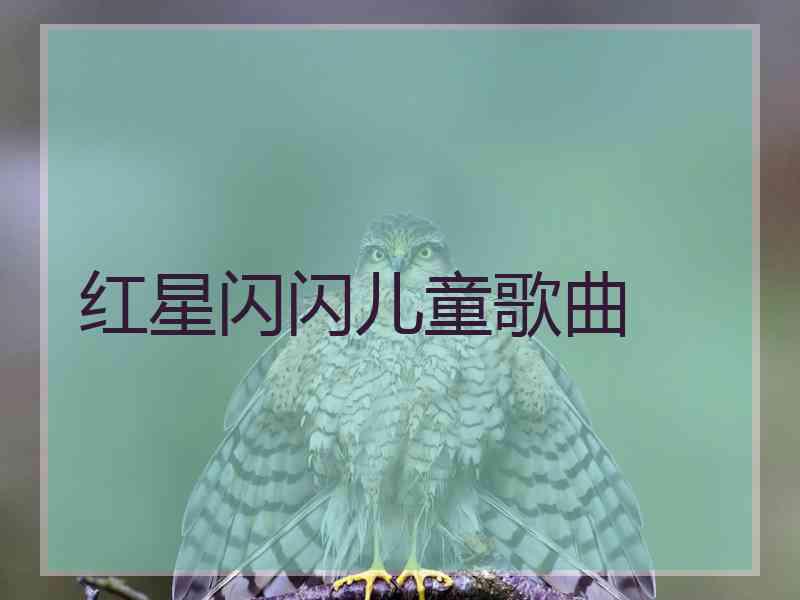 红星闪闪儿童歌曲