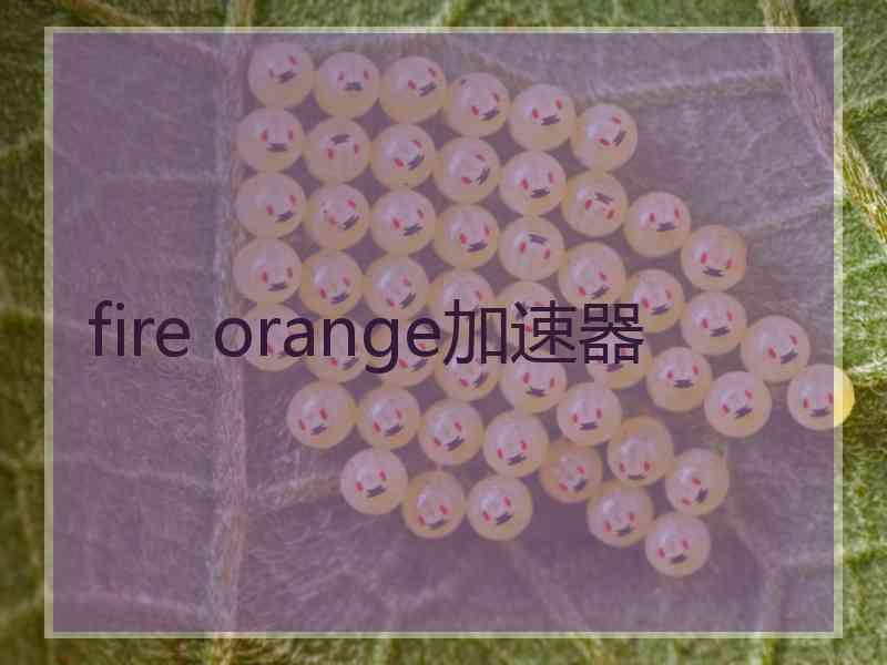 fire orange加速器