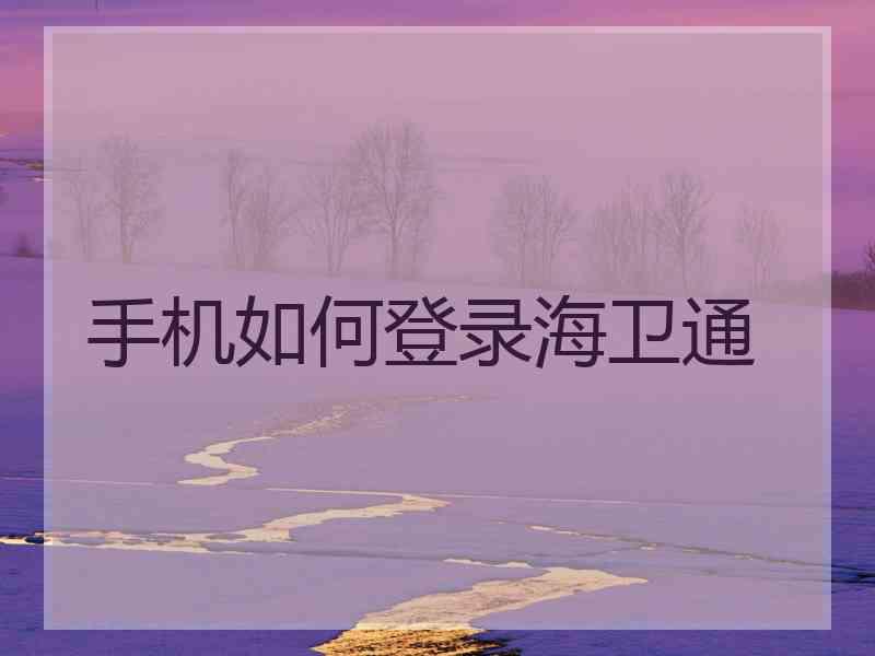 手机如何登录海卫通