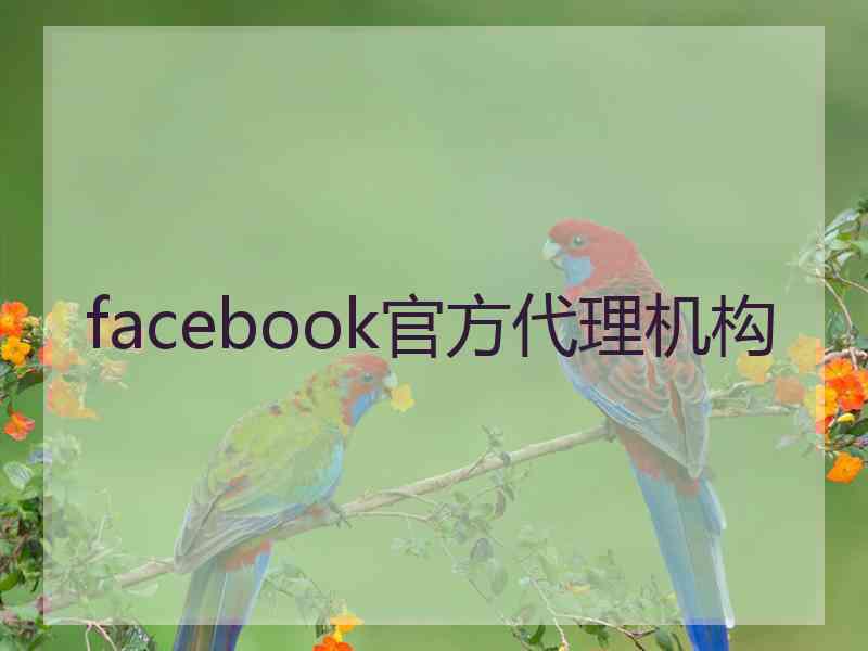 facebook官方代理机构