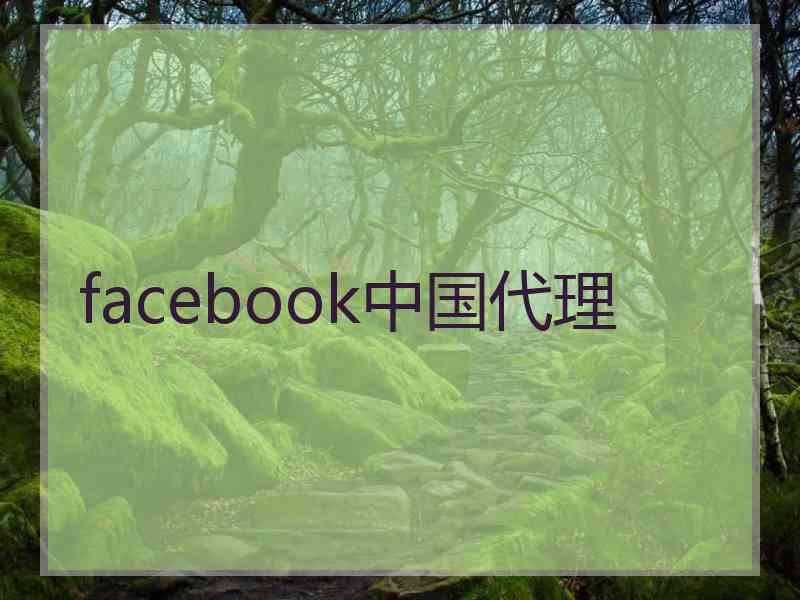 facebook中国代理