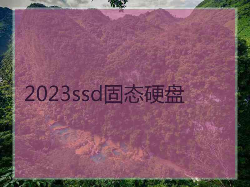 2023ssd固态硬盘