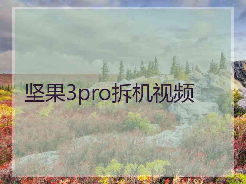 坚果3pro拆机视频