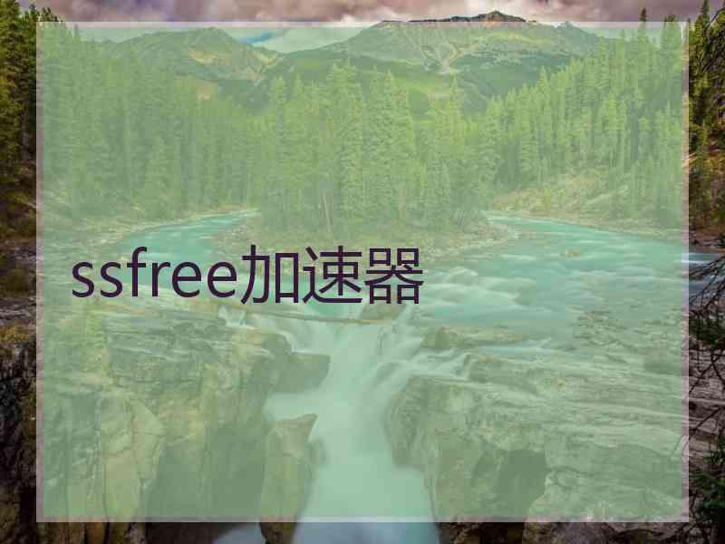 ssfree加速器