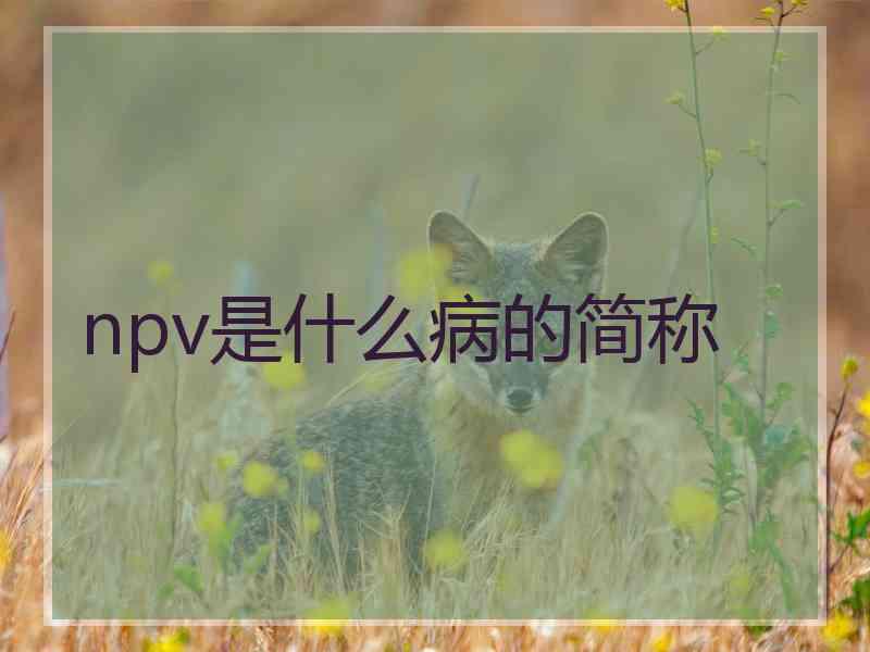 npv是什么病的简称