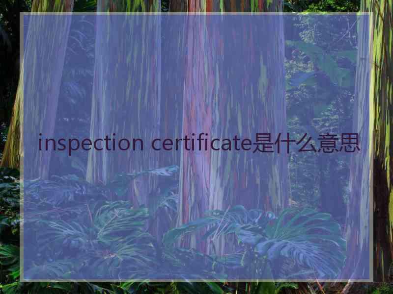 inspection certificate是什么意思