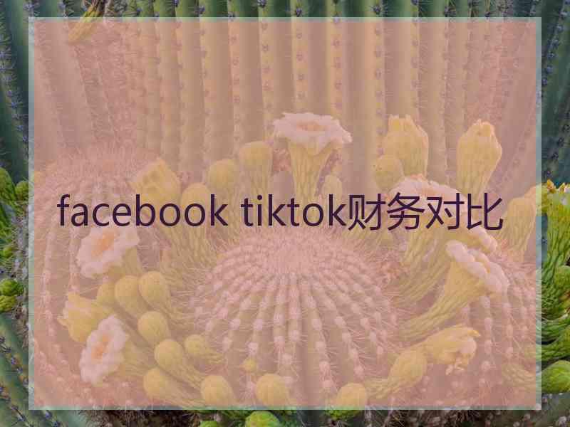 facebook tiktok财务对比