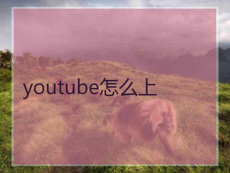 youtube怎么上