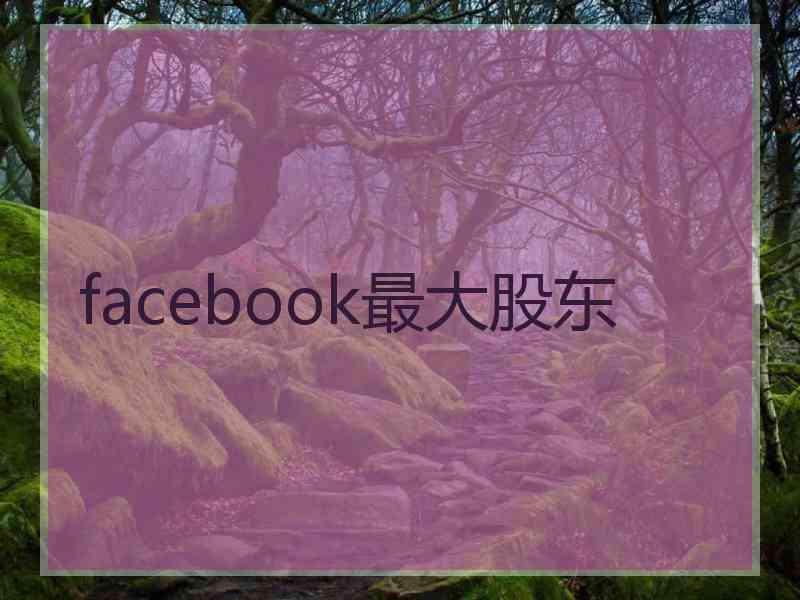 facebook最大股东