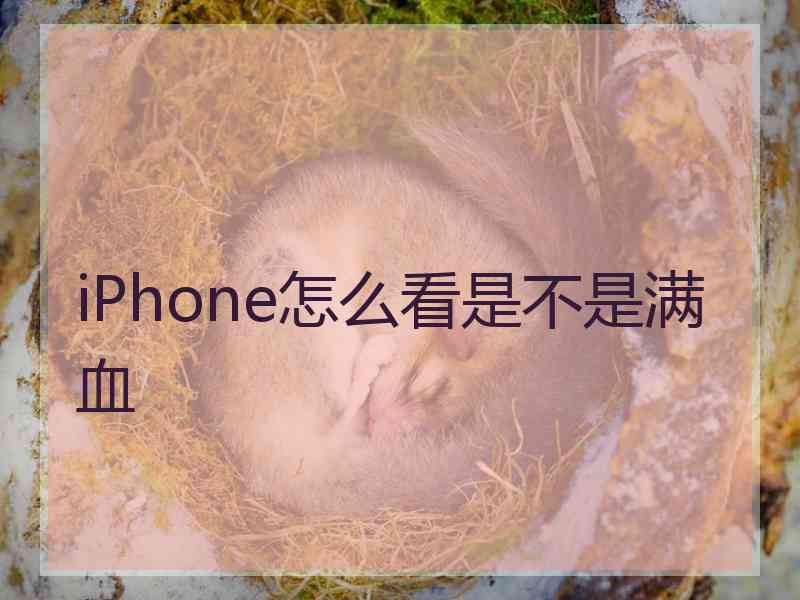 iPhone怎么看是不是满血