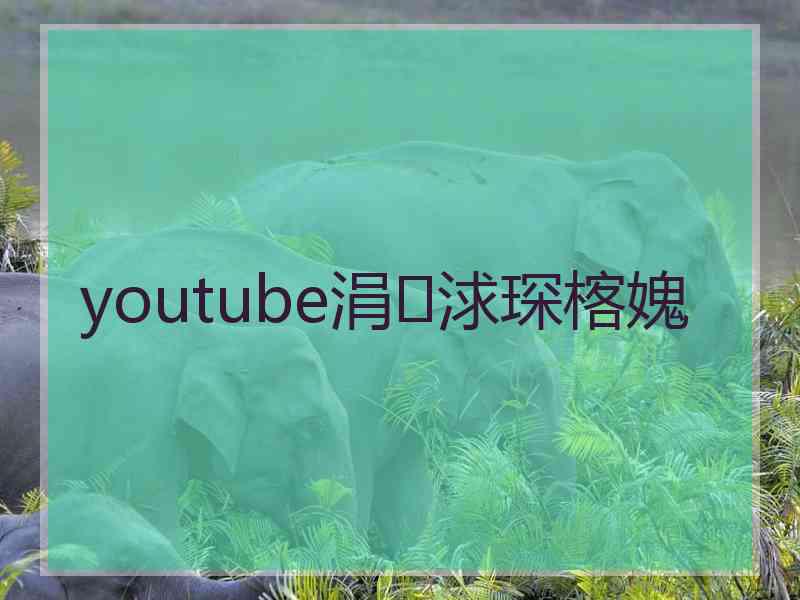 youtube涓浗琛楁媿