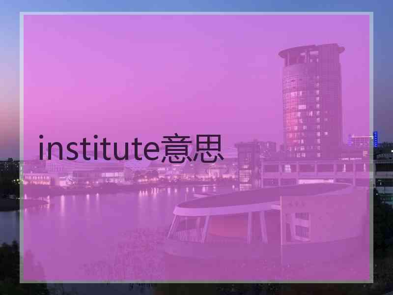 institute意思