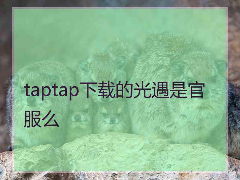 taptap下载的光遇是官服么