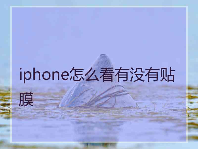 iphone怎么看有没有贴膜