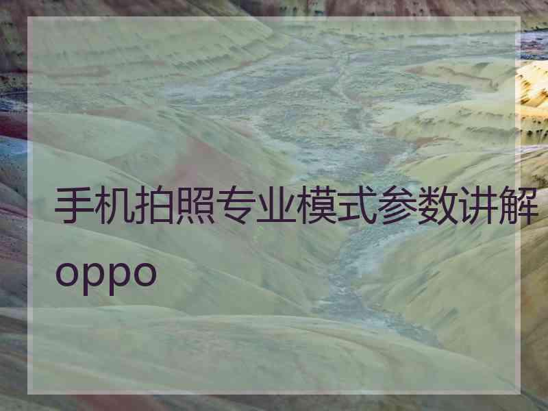 手机拍照专业模式参数讲解oppo