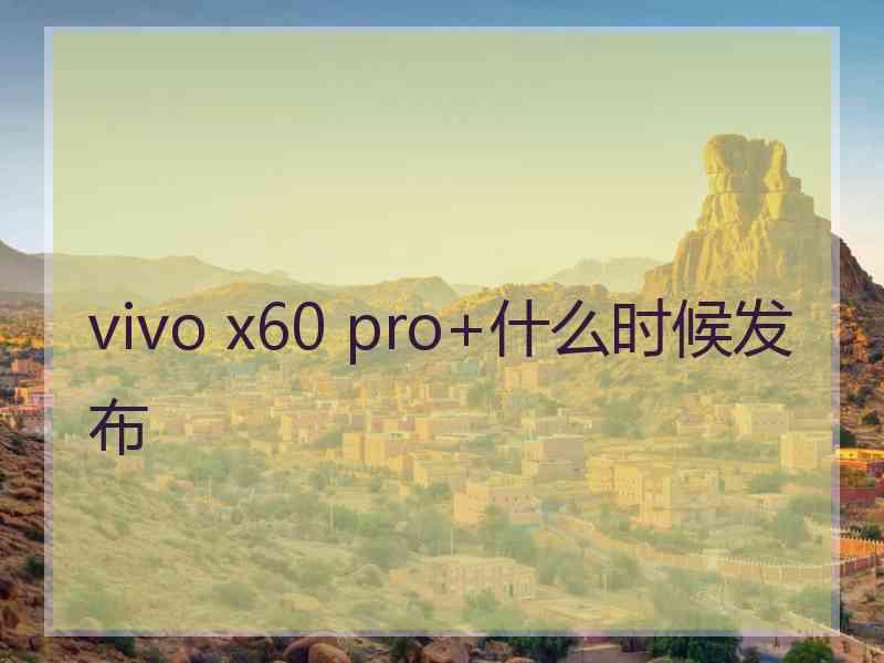 vivo x60 pro+什么时候发布