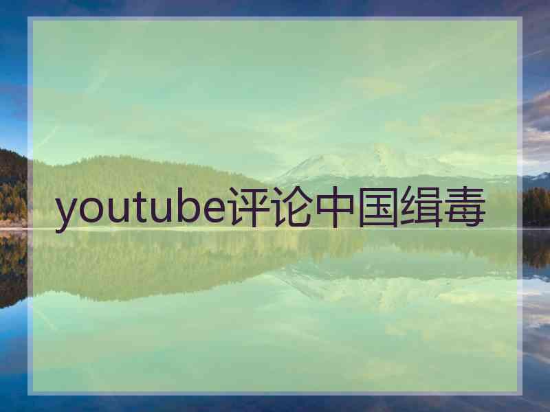 youtube评论中国缉毒