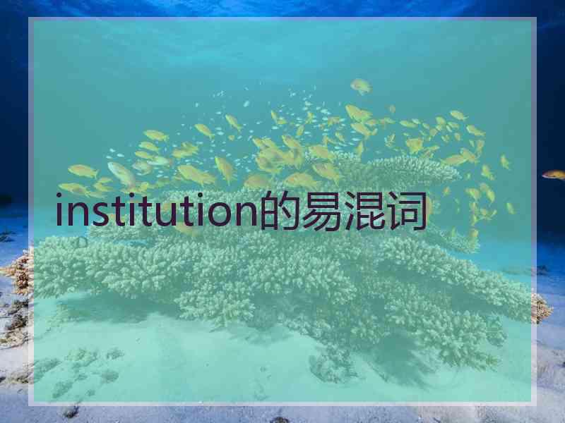 institution的易混词