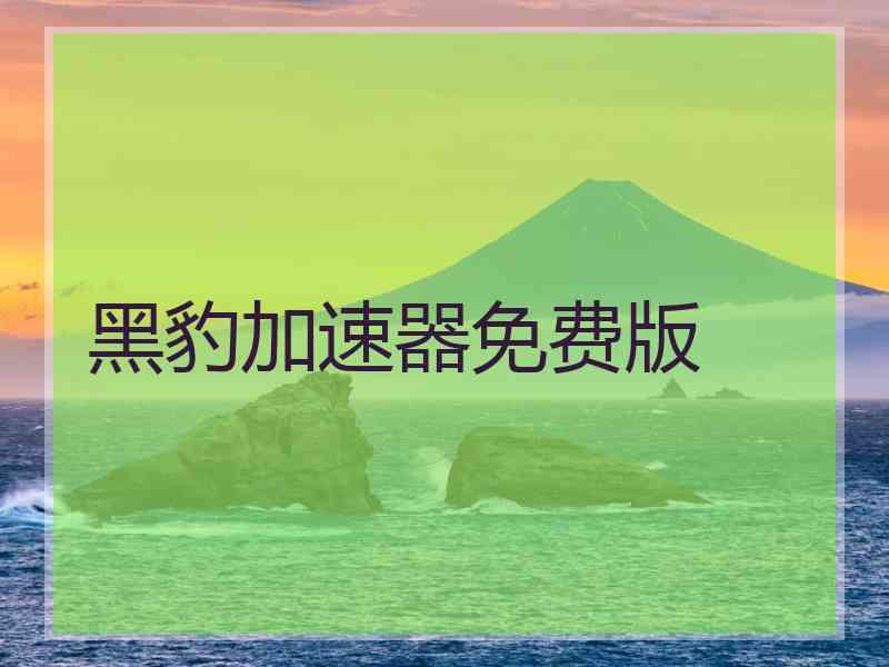 黑豹加速器免费版