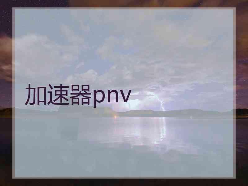 加速器pnv