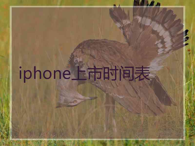 iphone上市时间表