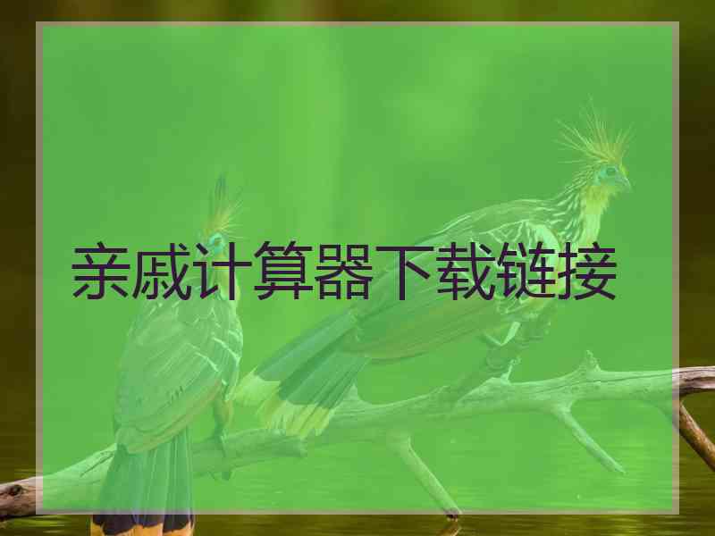 亲戚计算器下载链接