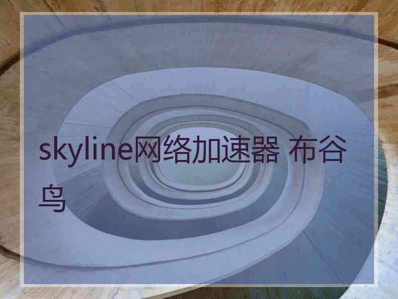 skyline网络加速器 布谷鸟