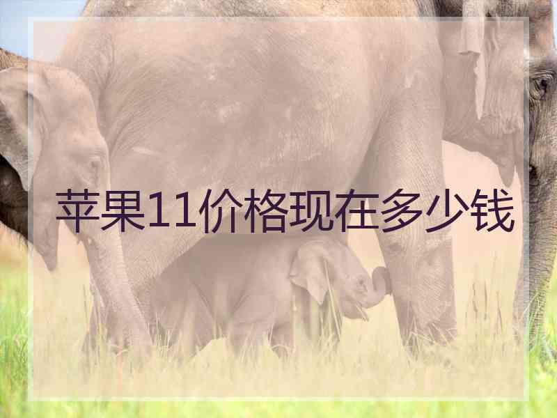 苹果11价格现在多少钱