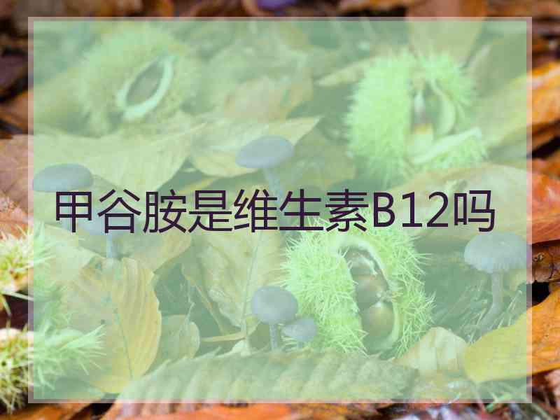 甲谷胺是维生素B12吗