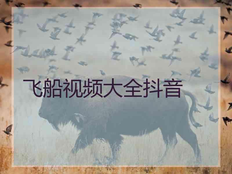飞船视频大全抖音
