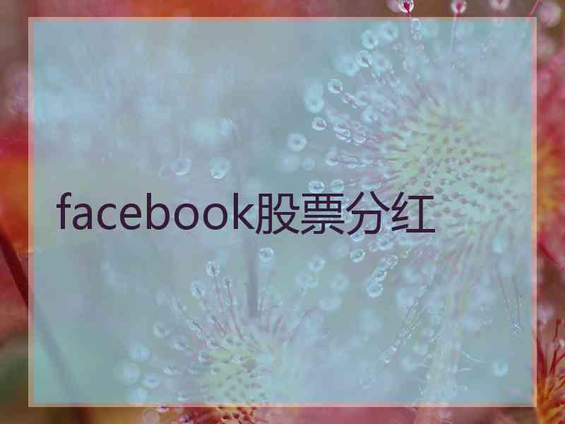 facebook股票分红