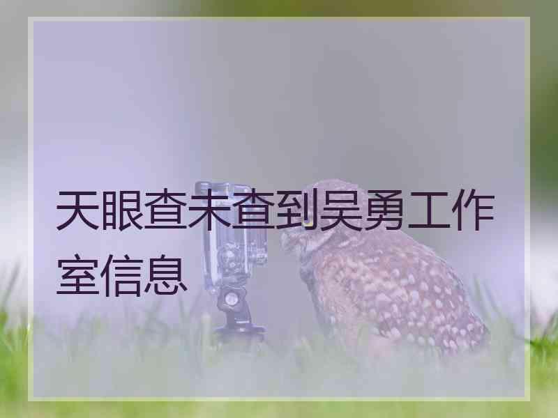 天眼查未查到吴勇工作室信息