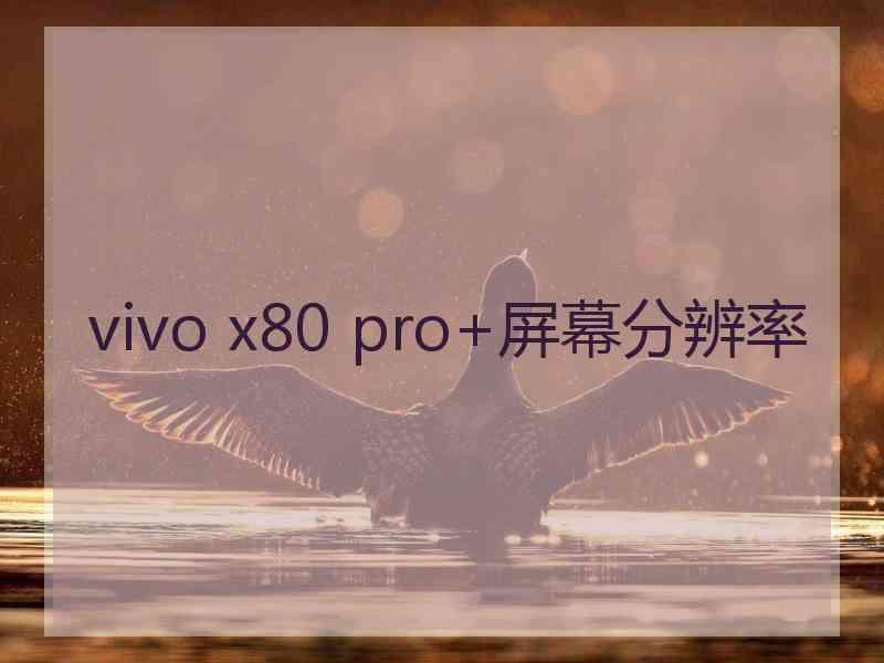 vivo x80 pro+屏幕分辨率