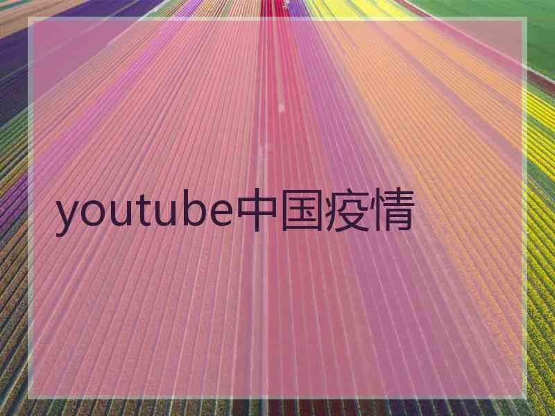 youtube中国疫情