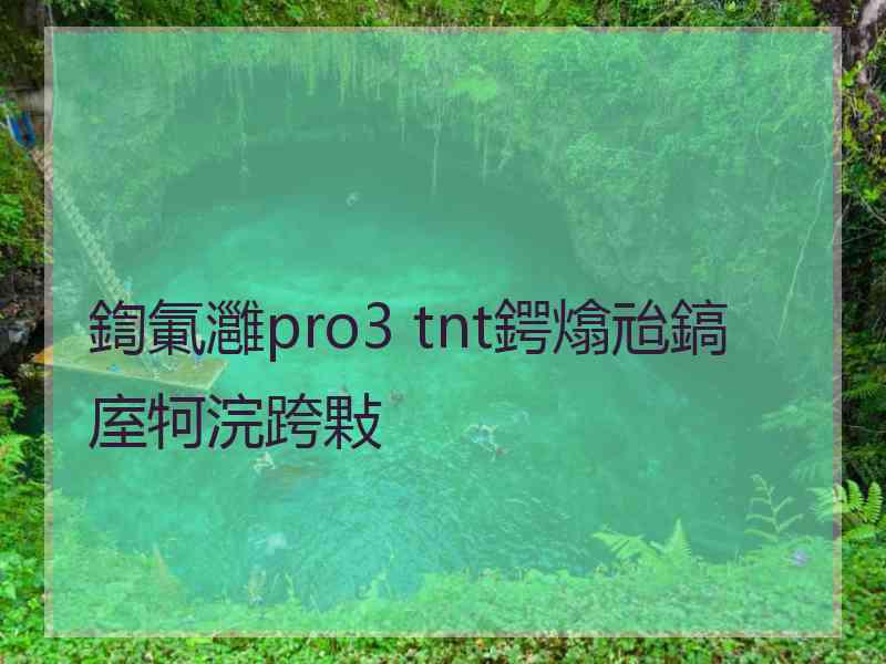 鍧氭灉pro3 tnt鍔熻兘鎬庢牱浣跨敤