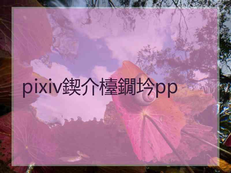 pixiv鍥介檯鐗坅pp