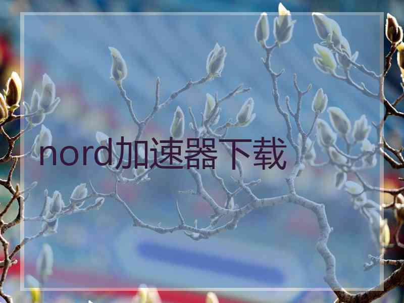 nord加速器下载