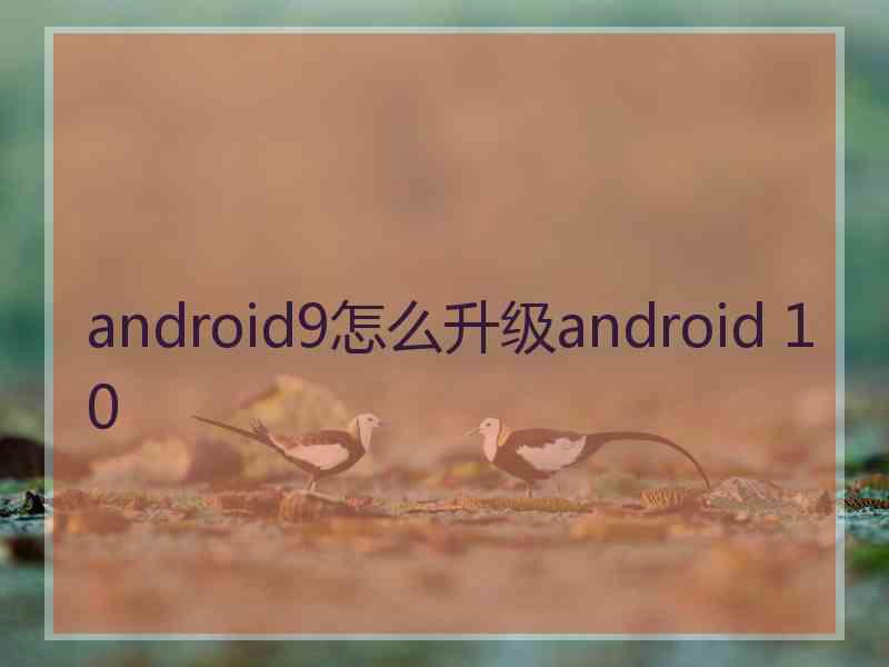 android9怎么升级android 10