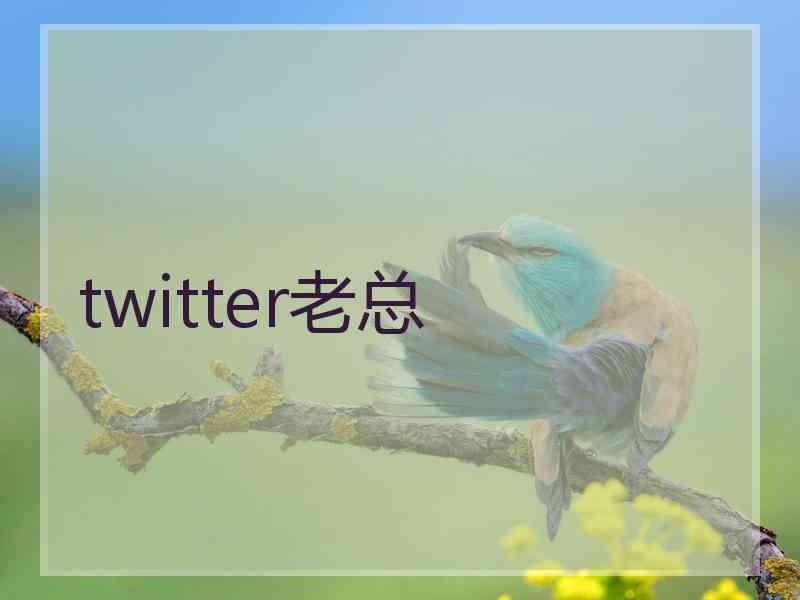 twitter老总