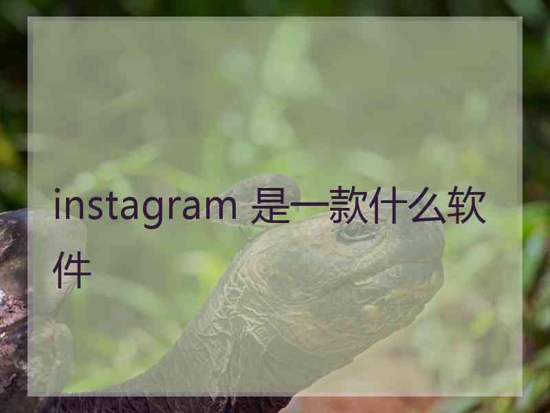 instagram 是一款什么软件