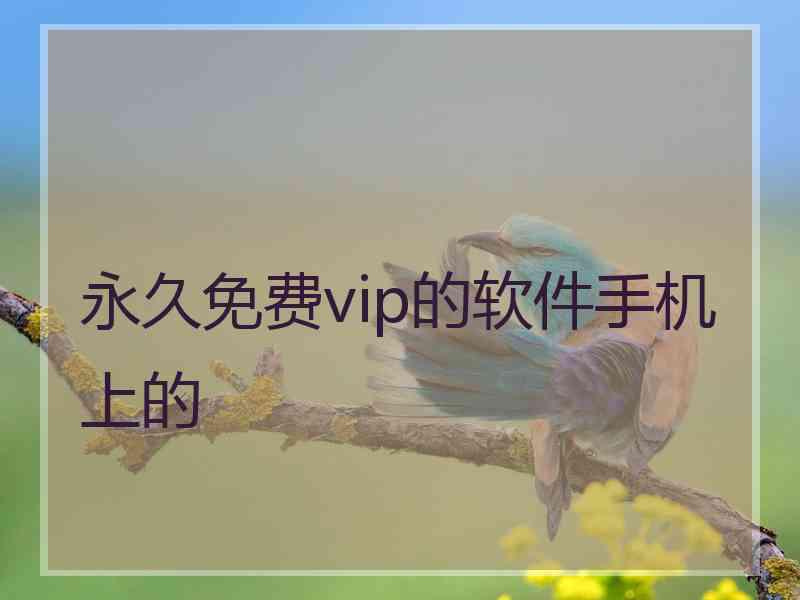 永久免费vip的软件手机上的