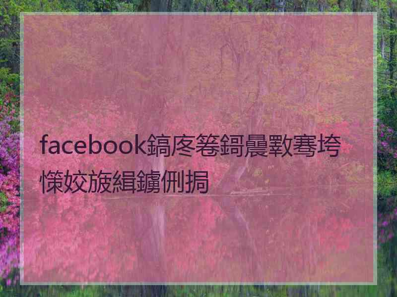 facebook鎬庝箞鎶曟斁骞垮憡姣旇緝鐪侀挶