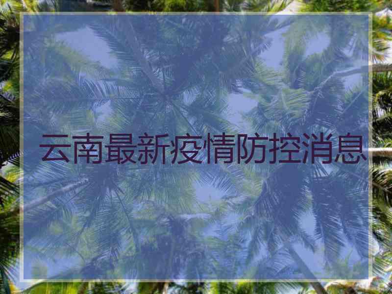 云南最新疫情防控消息