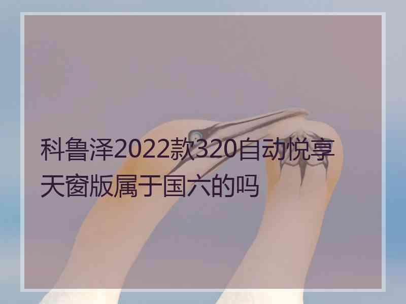 科鲁泽2022款320自动悦享天窗版属于国六的吗