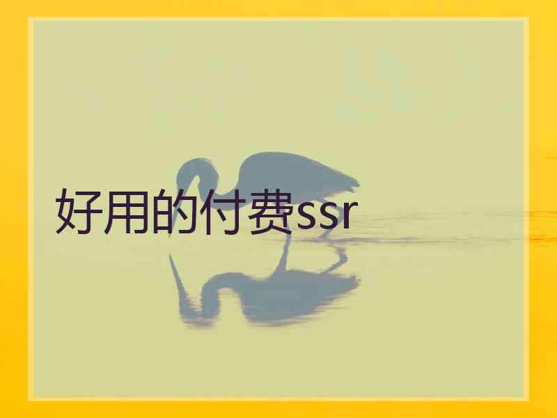 好用的付费ssr