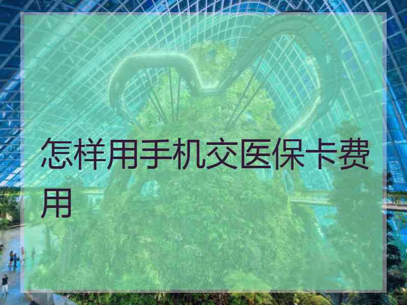 怎样用手机交医保卡费用