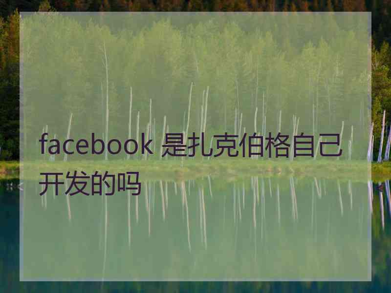 facebook 是扎克伯格自己开发的吗